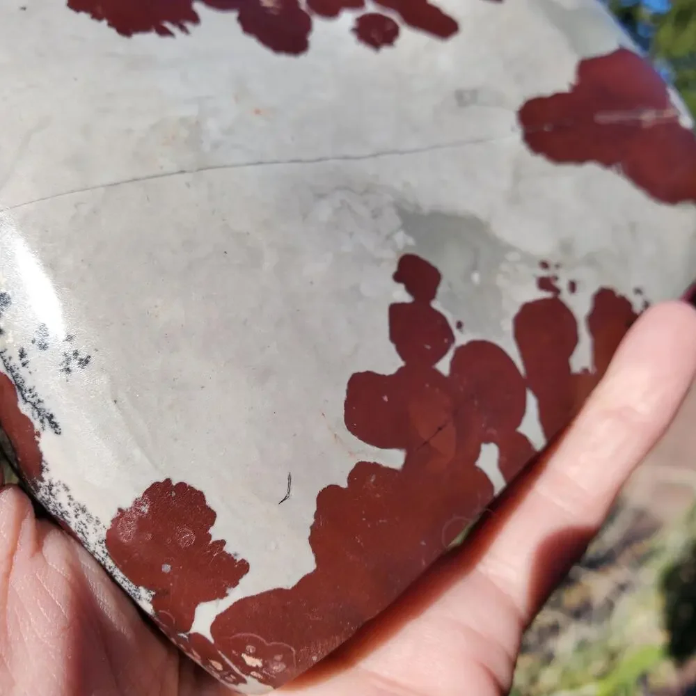 Picture Stone Jasper Dendritic Dendrite Display Freeform 706 Gram